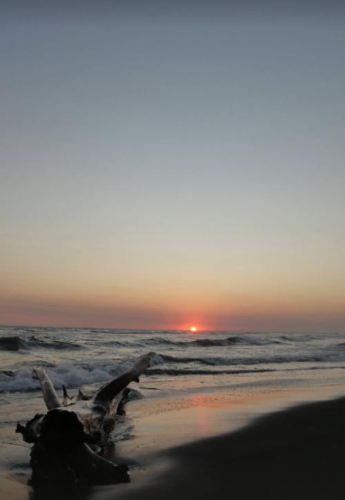 ricardo arjona hijo olivia 4