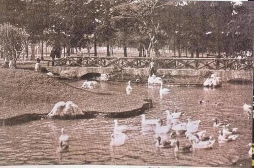 Desde 1924 ha sido un lugar donde familias guatemaltecas se divierten y aprenden de la fauna. (Foto: Redes Sociales)