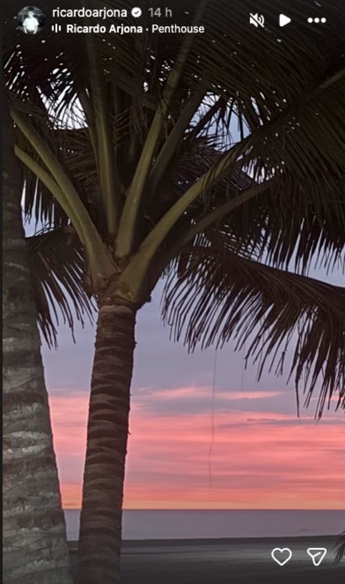 ricardo arjona saludo navidad 1