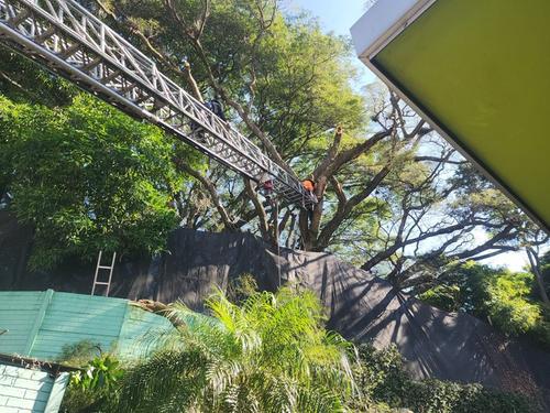 (Foto: Bomberos Voluntarios)