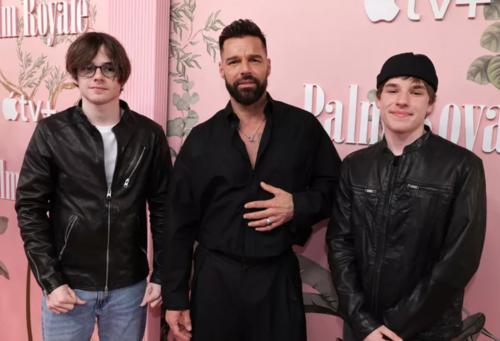 gemelos de ricky martin