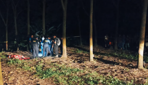 (Foto: &Aacute;ngel Revolorio/Nuestro Diario)