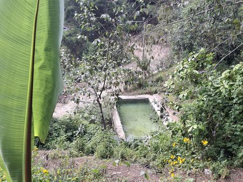 El bosque que rodea el balneario, un entorno que ha sobrevivido tormentas y huracanes. (Foto: Josu&eacute; Ardeano/Colaborador)