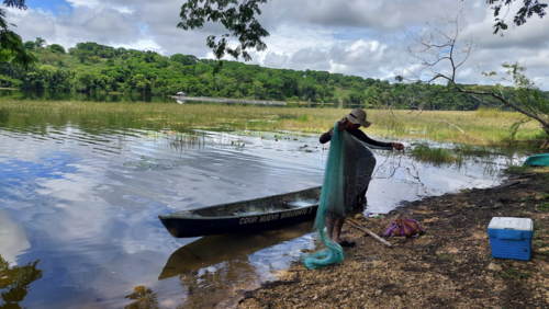 En Santa Ana, la pesca responsable se practica en la Laguna Oquevix, ubicada en la Cooperativa Nuevo Horizonte. (Foto: Dirlyn González/Colaboración)