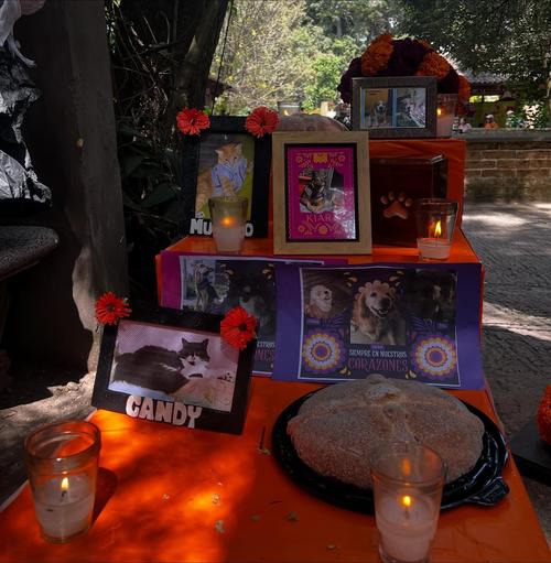 (Foto: Zoológico La Aurora)