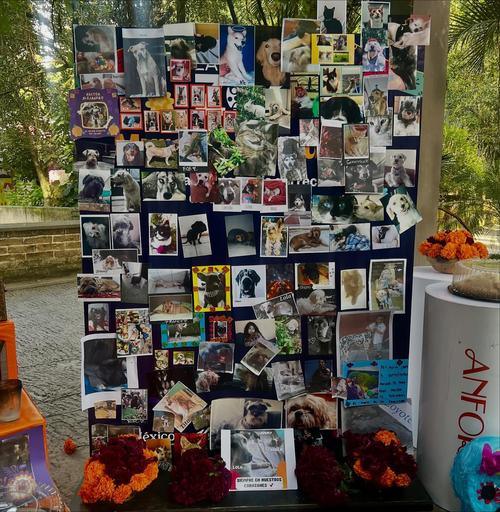 (Foto: Zoológico La Aurora)