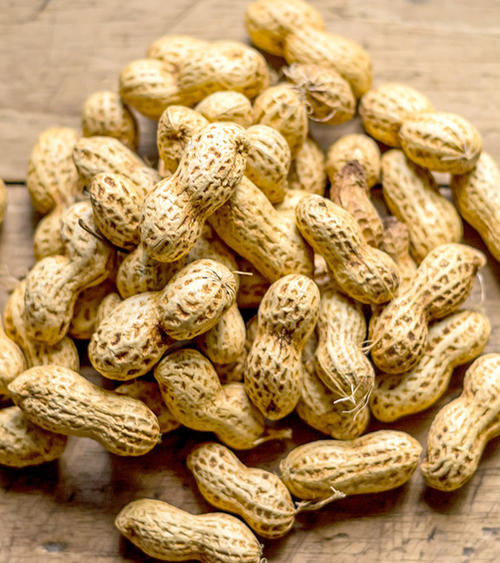 En el lugar se puede observar el proceso completo de la manía. (Foto: Huerta Familiar)