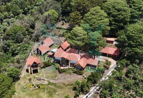 (Foto: Wilder López/Soy502)