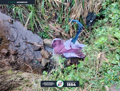 El hallazgo se registró en un riachuelo de la finca La Esperanaza, en Coatepeque. (Foto: Asonbomd)