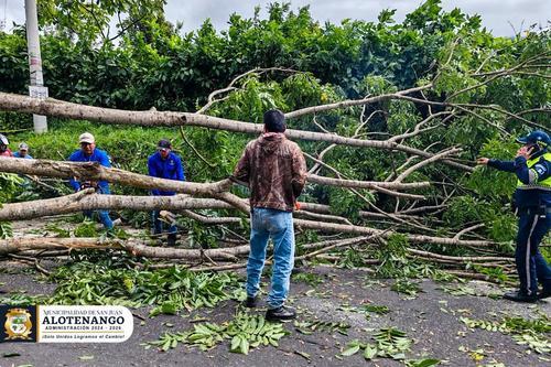 Un conductor falleció y su acompañante resultó herido luego de que les cayera un árbol cuando transitaban sobre la Ruta Nacional 14. (Foto: Municipalidad de San Juan Alotenango)