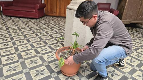 En las oficinas es importante tener un buen ambiente. (Foto: Erick Colop/Colaborador)