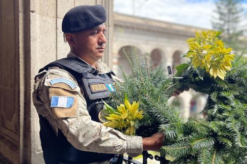 Conap, Inab, Conservación, pinabetes, época navideña, Guatemala, uso sostenible, 03