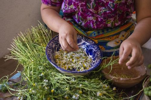 El proyecto “100% Orgánico” impulsa un cambio hacia el consumo sostenible en Santiago Atitlán. (Foto: Alfonso Guárquez/Colaborador)