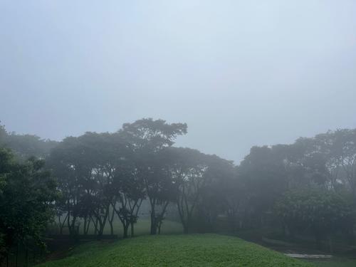 (Foto: Fredy Hernández/Soy502)