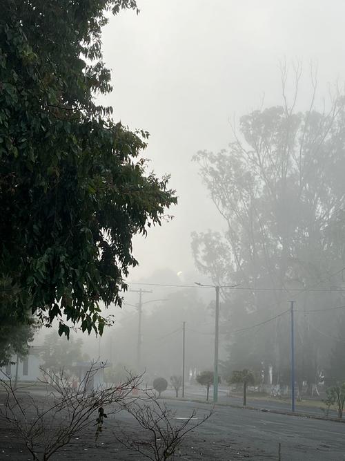 (Foto: Fredy Hernández/Soy502)