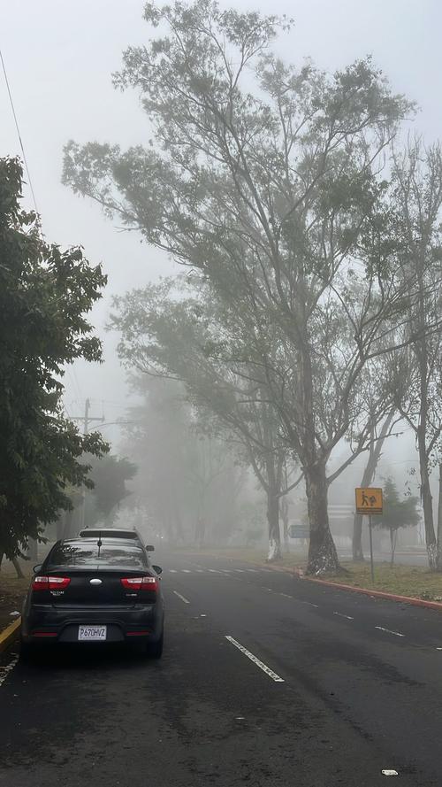 (Foto: Fredy Hernández/Soy502)