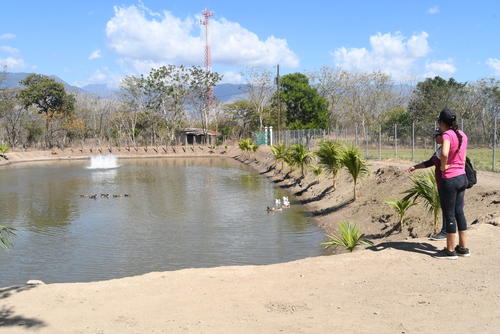 El zoológico cuenta con una laguna en la que puedes dar un paseo en lancha. (Foto: Juan Carlos Aquino/Colaborador)