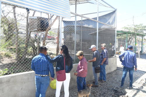 Safari Land Zacapa: Plan familiar perfecto, ubicación y costos. (Foto: Juan Carlos Aquino/Colaborador)  