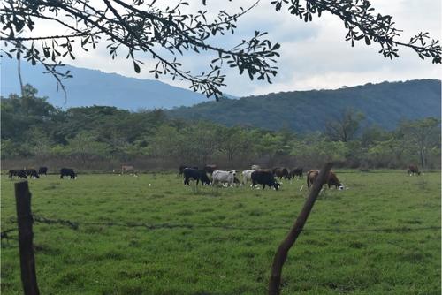 (Foto: Estuardo Paredes / Colaborador)