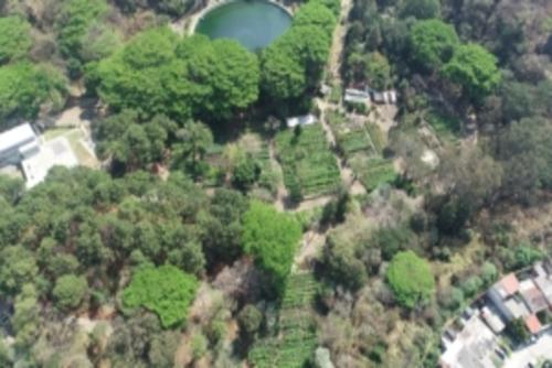 El lugar cuenta con 14 mil metros cuadrados. (Cortesía Municipalidad de Guatemala)