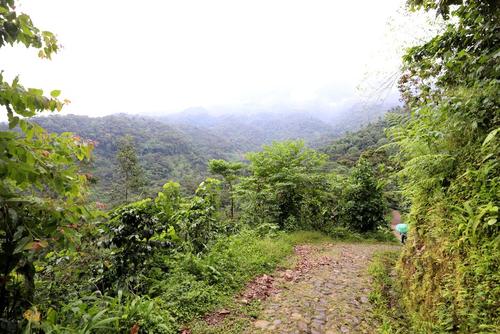 Se puede hacer senderismo. (Foto: Cortesía AGN)