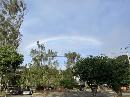 (Foto: Fredy Hernández/Soy502)