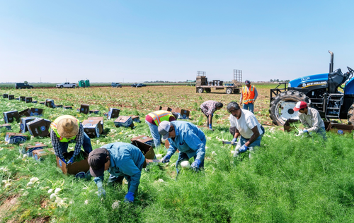 En lo que va del año, los guatemaltecos han enviado más remesas que en el 2024. (Foto: Archivo / Soy502)