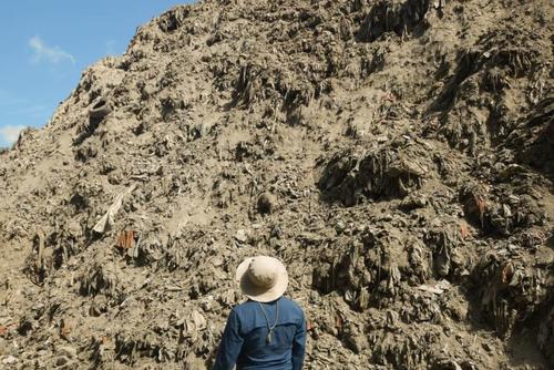 Jeanne Samayo Presidenta Alianza Cuenca del Motagua 