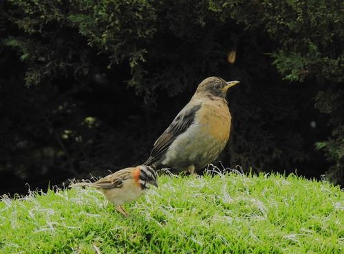 Buscan que la población participe en la protección del medio ambiente y promoción del turismo. (Foto: Alfonso Guárquez/Colaborador)