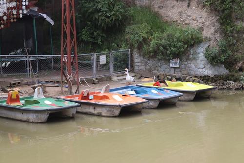 Aquí podrás disfrutar de paseos en la laguneta. (Foto: cortesía Laguneta de Salcajá)