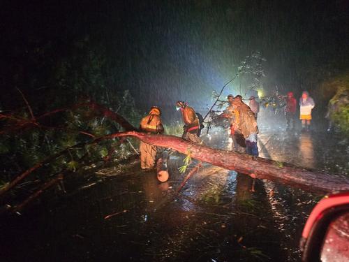 Árboles de grandes dimensiones han caído derivado de fuertes vientos y lluvias. (Foto: Conred)