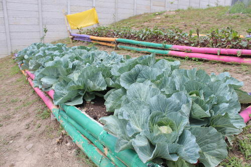 Se busca que en las escuelas los niños aprendan a cultivar sus propios productos. (Foto: Erick Colop/Colaborador)