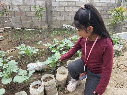 Los alumnos debe aprender a sembrar, cultivar y aprovechar la tierra. (Foto: Erick Colop/Colaborador)