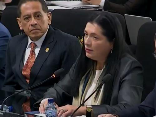 La presidenta del TSE, Blanca Alfaro, brindó detalles de las diligencias efectuadas por el MP. (Foto: Cortesía)