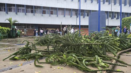 (Foto: Escuela de Ciencias Psicológicas - USAC)
