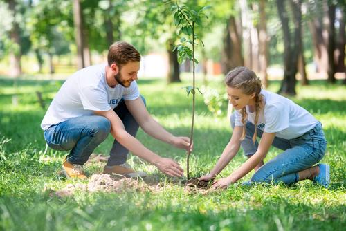 Aprende a realizar un fertilizante casero que nutre las plantas sin gastar dinero. (Foto: Shutterstock)