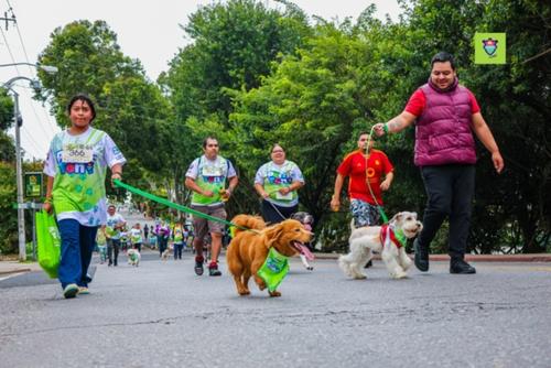 Esta es una actividad ideal para vivirla en familia. (Foto: Cortesía Municipalidad de Guatemala)