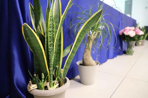 Se espera a más de 300 participantes de 50 empresas en el Congreso. (Foto: Agexport / Soy502) 