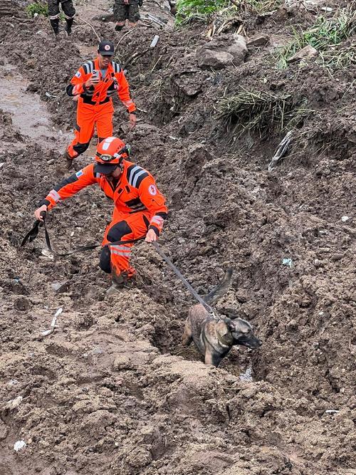 Unidad de rescate de Bomberos Voluntarios realiza búsqueda de persona desaparecida. (Foto: CBV)