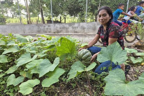 En estas plantaciones crecen los ayotes criollos, que se consumen en miel en esta región. (Foto: Ángel Revolorio/Colaborador)
