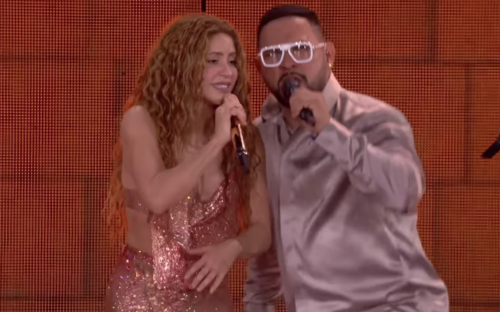 shakira grupo niche 1