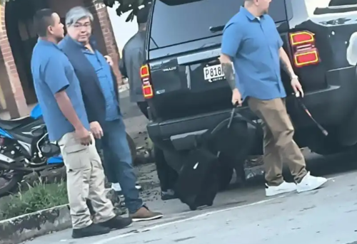 (Foto: redes sociales)