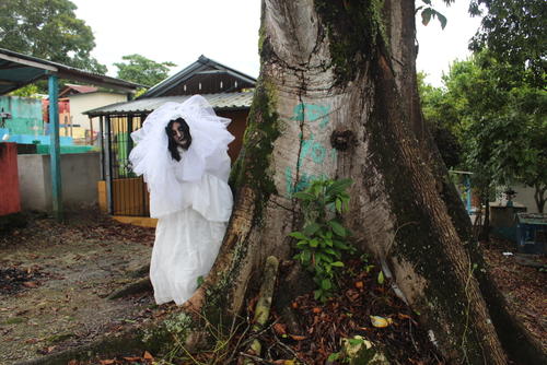 La ceiba que se encuentran en el cementerio formó parte de la historia donde caminaba el espíritu. (Foto: Walfredo Obando)