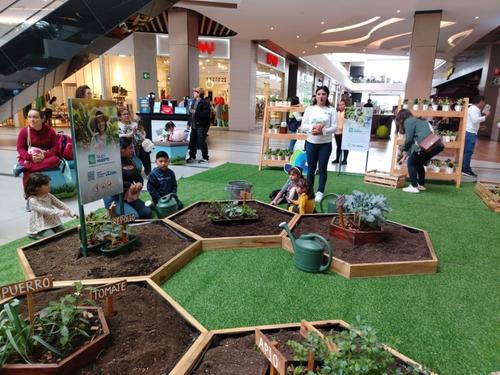 Con NutriHuertos, la Municipalidad de Guatemala promueve el cultivo orgánico en balcones y terrazas.  (Foto: cortesía Municipalidad de Guatemala)