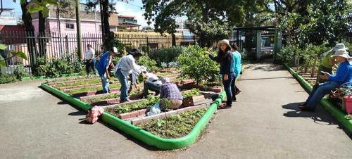 Los propios vecinos cuidan un huerto comunal de donde sacan la semillas para sus huertos de casa. (Foto: cortesía Municipalidad de Guatemala)