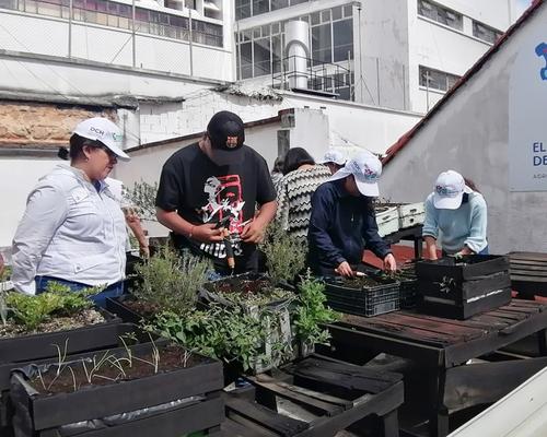 El proyecto NutriHuertos enseña a vecinos a crear huertos sostenibles y cosechar alimentos frescos en casa. (Foto: cortesía Municipalidad de Guatemala)
