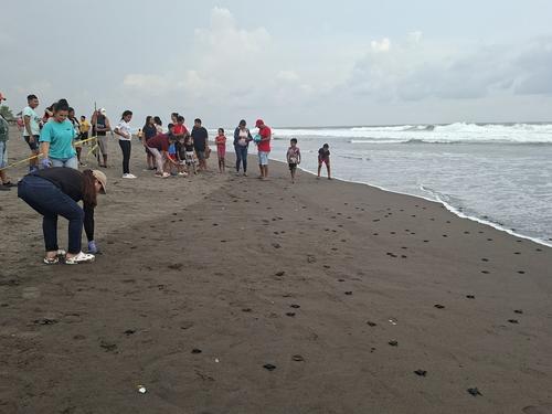 En Moyuta, Jutiapa, el Tortugario La Blanca libera cientos de tortugas marinas cada semana para proteger y conservar la especie. (Foto: Catalina Jarquín/Colaboradora)