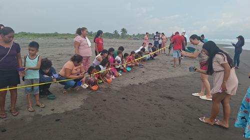El Tortugario La Blanca cuida huevos y libera tortugas golfina, parlama y cabezona, fortaleciendo la conservación marina en Guatemala. (Foto: Catalina Jarquín/Colaboradora)