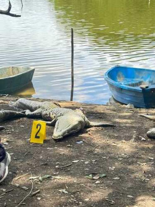 Las autoridades del MP se presentaron al lugar para recolectar evidencias que fueron enviadas al Inacif quien confirmó que los restos pertenecen al cuerpo de la niña Joselinne. (Foto: MP)