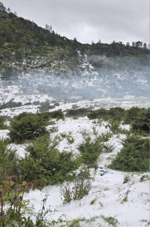 (Foto: Maynor Mérida/Nuestro Diario)